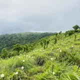 Palakkayamthattu Kannur 